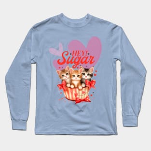 Cats Inside Valentine Gift - Vintage Art For Cat Lover Long Sleeve T-Shirt